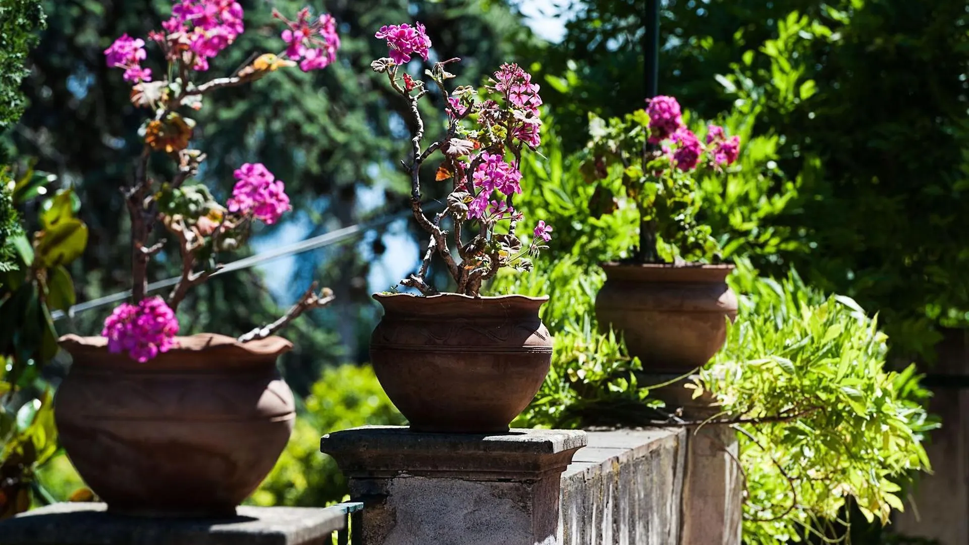 Country house Villa Bagolaro San Leonardello